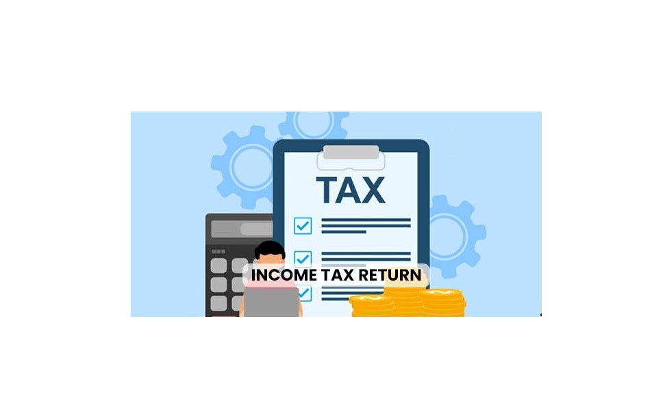 What is Income Tax Notice Handling ?